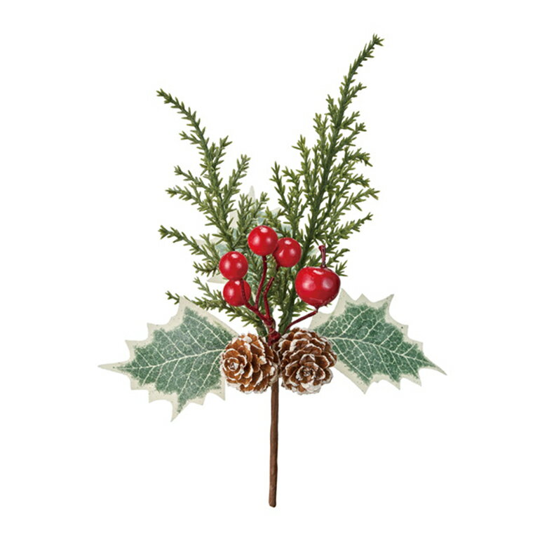 【50%オフ！】【スーパーセール期間限定】ノアレッドベリーピック RED