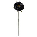 【70%オフ!】【在庫入れ替え数量限定セール】アミュゼオープンローズ #20 BLACK <アーティフィシャルフラワー / ブラック / バラ / ハロウィン ...
