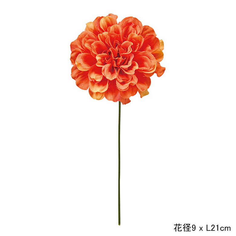 プライムダリアピック #9 ORANGE ＜autumn color flower＞ 2