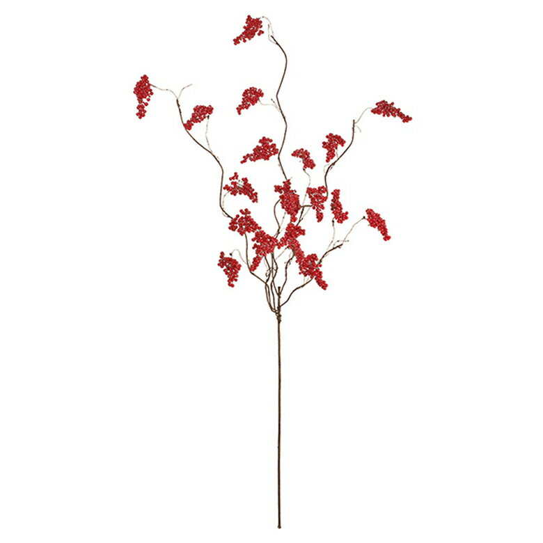 フレックレッドベリーバイン RED ＜autumn color flower＞