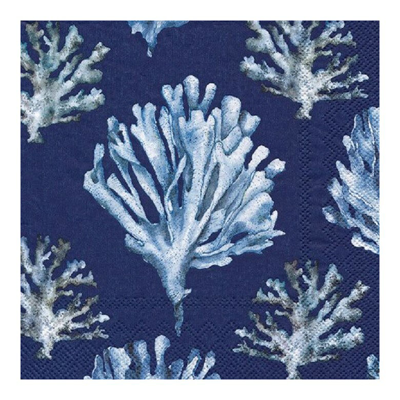 50%աۡڥѡָۥڡѡʥץ CORAL blue 5 summer / ޡѡƥ / Ƥʤ