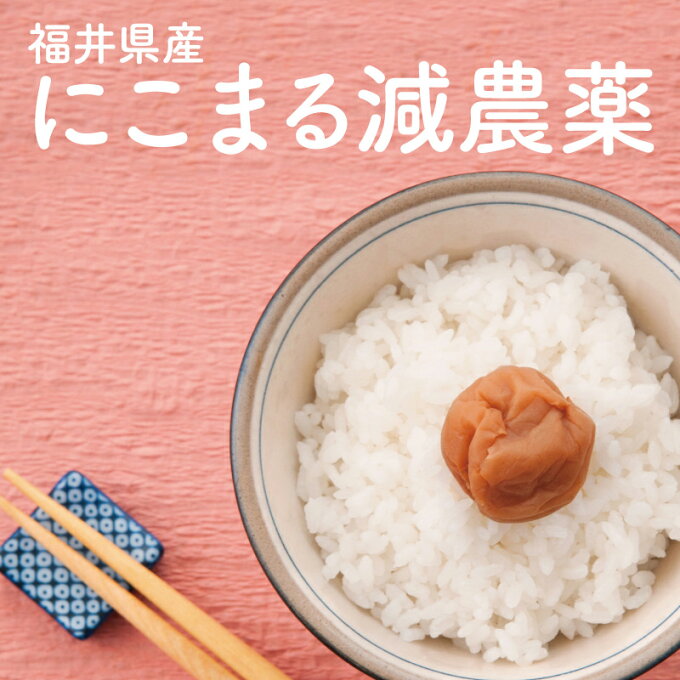 令和4年度産/令和5年度産/新米【減農薬】【にこまる10kg 20kg 30kg】【送料無料】小嶋農産 産地直送 福井県【米10kg 送料無料】【お米 10kg 送料無料】お米/米/コメ/米 10kg 20kg 30kg/こめ/おこめ/kome/【米10kg 送料無料】/ojima/ozima/おじま/こじま/こじこじ