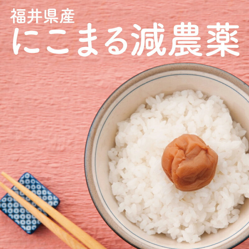/Ҥ֤/JASǧۻľԿѥåʡ温ƥҥ/450g