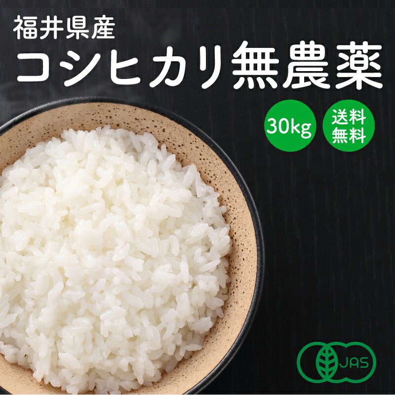 令和2年産新米【有機JAS】【コシヒカリ30kg】【送料無料】小嶋農産 福井県産 白...