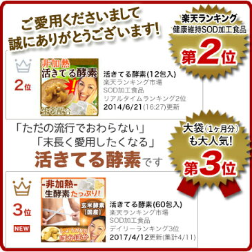 【国産生姜】活きてる酵素60包/200g 麹菌 玄米酵素 生酵素 砂糖不使用 非加熱酵素/酵素ドリンク よりも手軽 酵素 サプリ/温活/高知県産 生姜粉末 しょうが粉末/生姜パウダー/特別栽培米 無農薬 減農薬 玄米 使用/国産