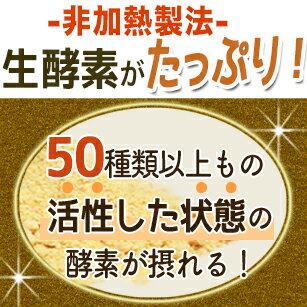 犬 猫 いのちの酵素(粉末50g) 無添加 ペット酵素 ペットサプリ/ペットフード に ふりかけ/犬 猫 食事療法 をする時に/ペット サプリメント 国産