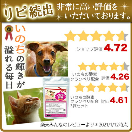 【クランベリー配合】いのちの酵素(粉末50g)尿路維持 口腔衛生 歯磨き 嫌いに/プロアントシアニジンA型 と キナ酸 が活躍/ドッグフード や キャットフード に ふりかけ/無添加 ペット サプリ］