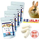 水素専門店 品質保証 純国産 うさぎ 水素サプリ ペット用キラキラ水素90入x4個 水素水 と違い長時間持続 手軽 ペット用 水素サプリ 高齢 介護 ペットフード に混ぜてもOK ペット SOD 特許製法 日本製 国産