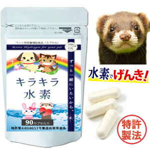 品質保証 純国産 フェレット 水素サ