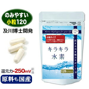 7月19日から25日まで 3個購入で1個おまけ付き 水素サプリ 水素水 より持続 水素サプリメント 小粒キラキラ水素 120入 SOD 水素パウダー 水素カプセル 沖縄産 サンゴカルシウム 水素 サプリ マイナス水素イオン 開発元 及川胤昭 博士 日本製 国産のサムネイル