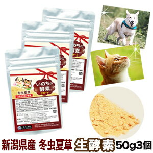 犬 猫 ペット 冬虫夏草 純国産 品質保証 コルジセピン 酵素 ペット酵素 いのちの酵素 50g3袋 粉末 健康食品 日本産 国産 無添加 サプリ パウダー 菌 免疫 ベータグルカン βグルカン アミノ酸 菌活 大型犬 小型犬 老犬 老猫