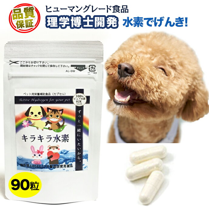 【楽天1位】水素専門店 品質保証 持