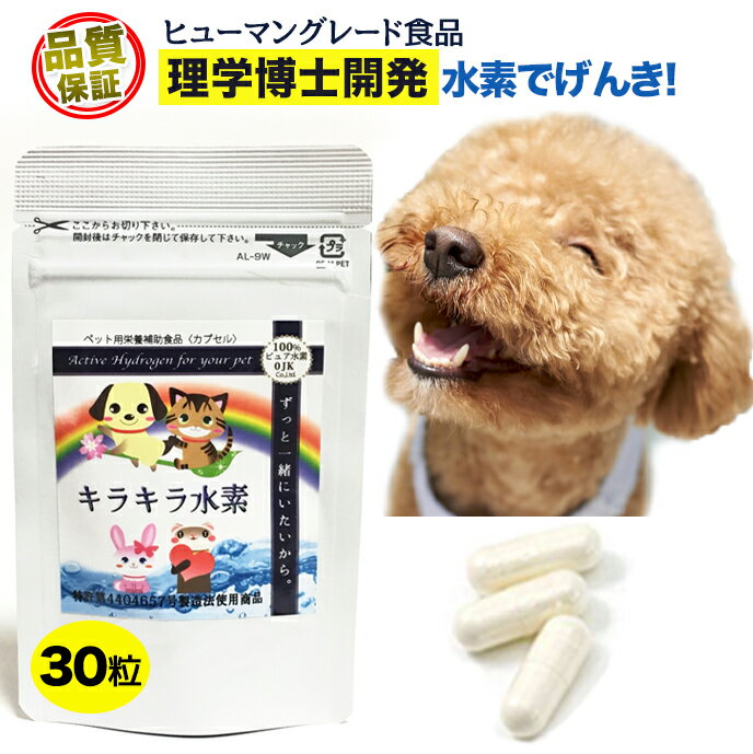 【25%OFF】【楽天1位】水素専門店 持