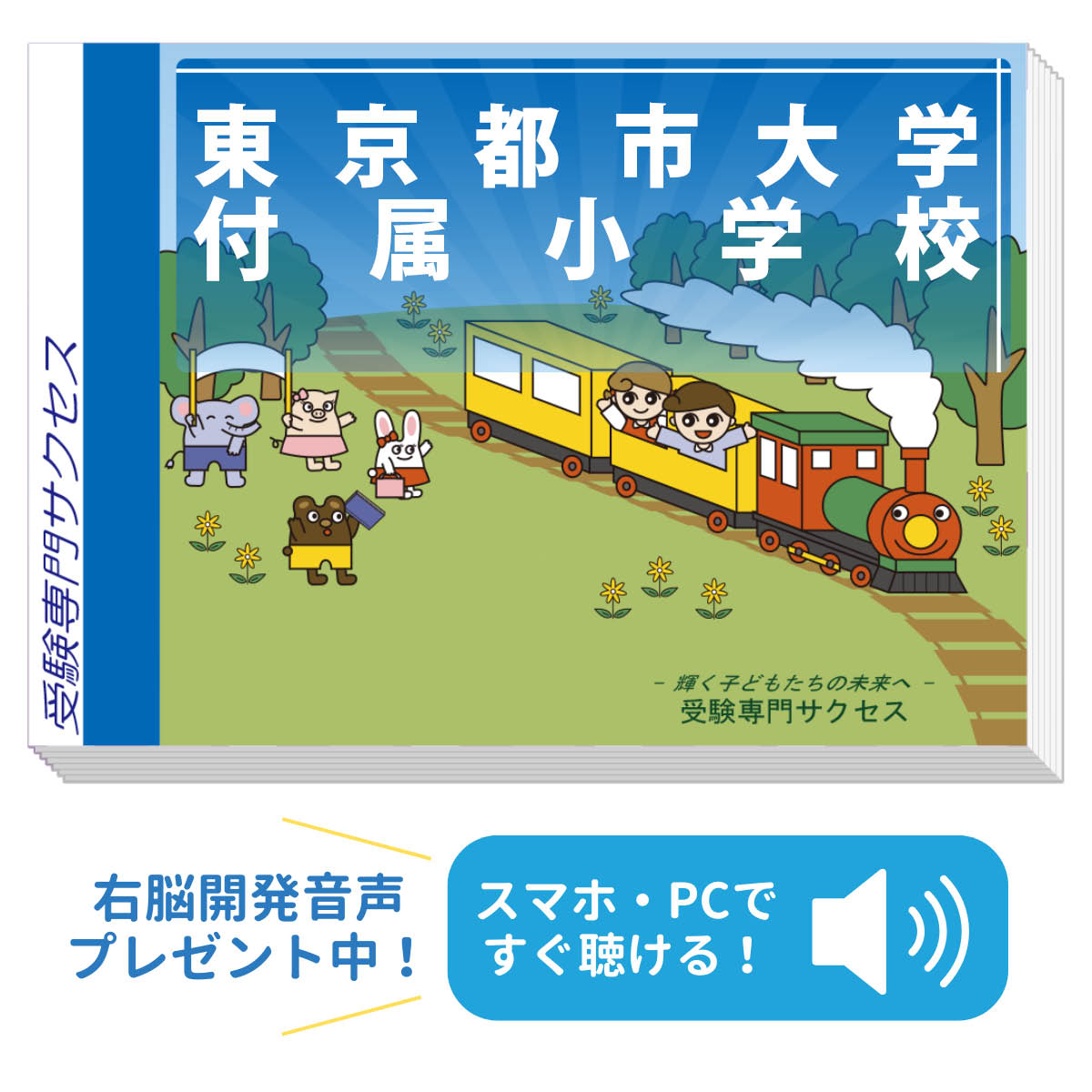 2026 東京都市大学付属小学校・合格セット問題集 過去問の傾向と対策 / 面接 家庭学習 送料無料 / 受験専門サクセス