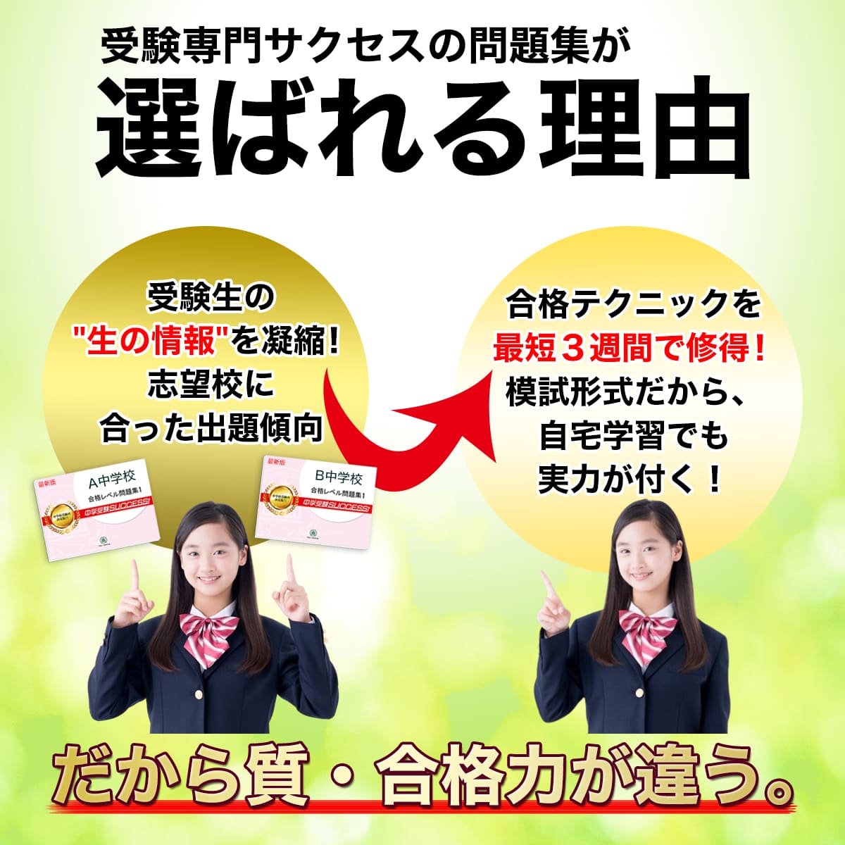 東京都立小石川中等教育学校・受験合格セット問題集(10冊) 中学受験 過去問の傾向と対策 [2025年度版] 参考書 自宅学習 送料無料 / 受験専門サクセス 3