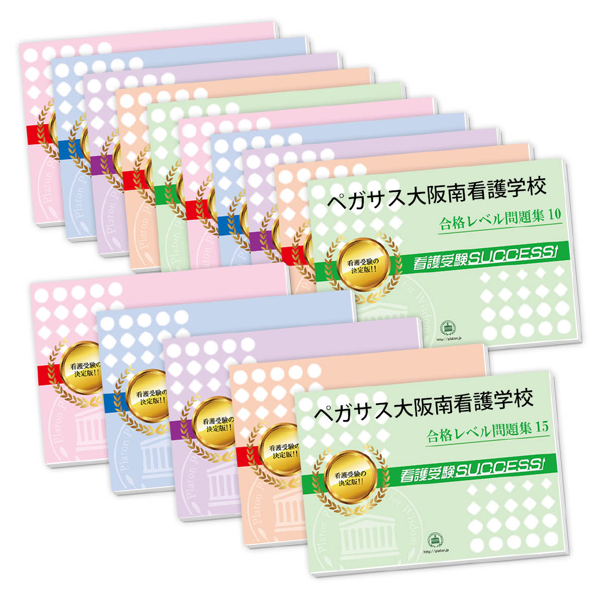 2026 ペガサス大阪南看護学校・2ヶ月対策合格セット問題集(15冊) 過去問の傾向と対策 / 面接 参考書 社会人 高校生 送料無料 / 受験専門サクセス