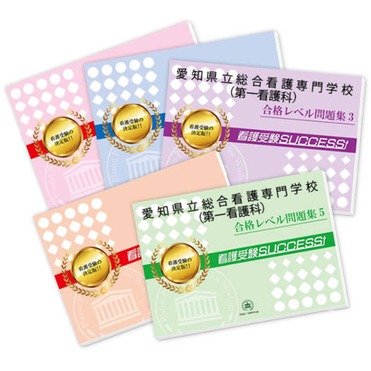 2026 愛知県立総合看護専門学校(第一看護科)直前対策合格セット問題集(5冊) 過去問の傾向と対策 / 面接 参考書 社会人 高校生 送料無料 / 受験専門サ...