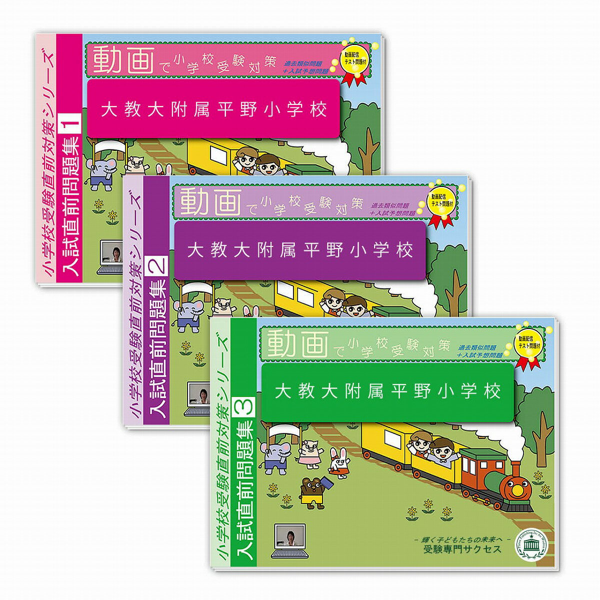 大阪教育大学附属平野小学校 過去問題集3冊➕未来を「そうぞう」するこども2冊 大阪教育大学附属平野小学校 過去問題集3冊➕未来を「そうぞう」