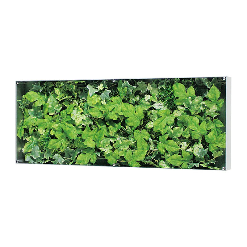 ベルク　インテリアパネル　インテリアデコ　ウォールグリーン　GR3118 室内　壁　インテリア　おしゃれ　送料無料 緑　植物