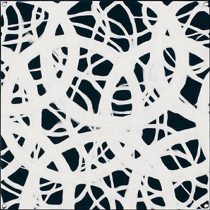 【12月限定エントリーで最大100%ポイントバック】インテリアアート アートデコ アートパネル マサエコ 450×450×35 AR6020 アートパネル 北欧 モダン 玄関 花 横長 モノトーン