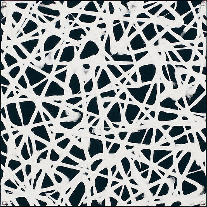 【12月限定エントリーで最大100%ポイントバック】インテリアアート アートデコ アートパネル マサエコ 450×450×35 AR6031 アートパネル 北欧 モダン 玄関 花 横長 モノトーン