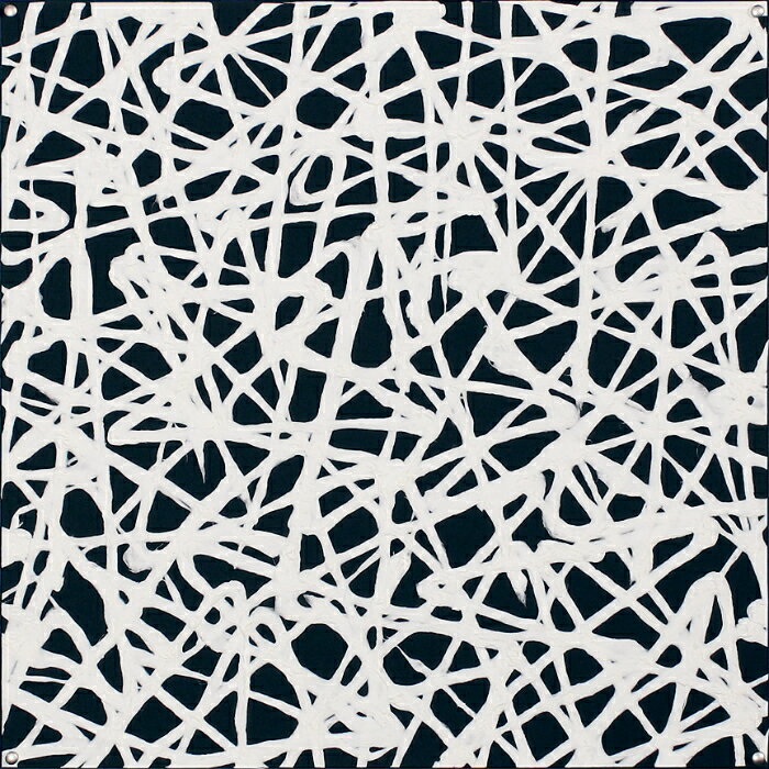 【12月限定エントリーで最大100%ポイントバック】インテリアアート アートデコ アートパネル マサエコ 600×600×35 AR6032 アートパネル 北欧 モダン 玄関 花 横長 モノトーン