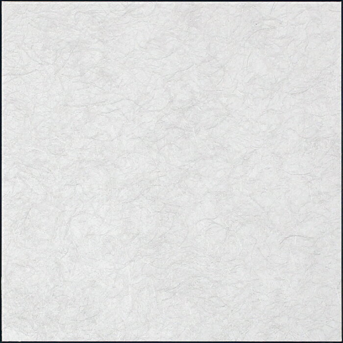 【12月限定エントリーで最大100%ポイントバック】インテリアアート アートデコ アートパネル マサエコ 450×450×27 AR6037 アートパネル 北欧 モダン 玄関 花 横長 モノトーン