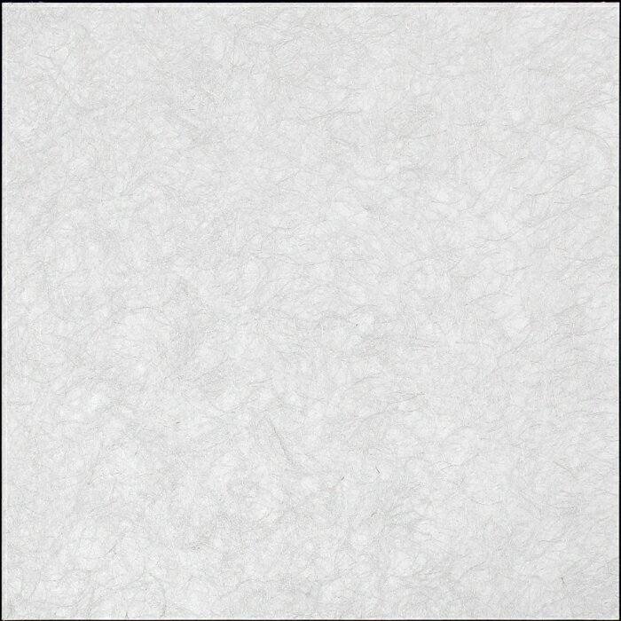 【12月限定エントリーで最大100%ポイントバック】インテリアアート アートデコ アートパネル マサエコ 600×600×27 AR6038 アートパネル 北欧 モダン 玄関 花 横長 モノトーン