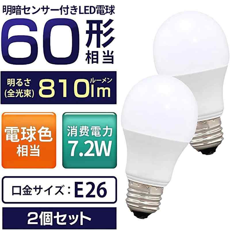 PEARL ペンダントルーペ 折りたたみ 1.75倍 3.5倍 蝶 パープル PR-805