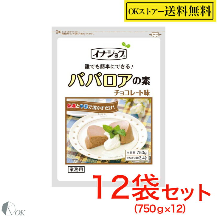 業務用 ババロアの素 750g ×12個 伊那食品工業 デザートの素 チョコ味 【常温】