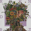 ROUNDABOUT (通常盤) (特典なし)