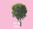 13ヶ月