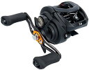 ダイワ(DAIWA) ベイトリール 19 タトゥーラ TW 100H(2019モデル)