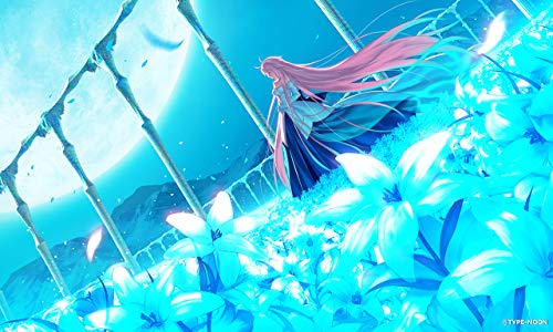 月姫 -A piece of blue glass moon- 初回版同梱物武内崇描き下ろし特装化粧箱 設定資料集「月姫マテリアルI -material of blue glass moon-」 - Switch