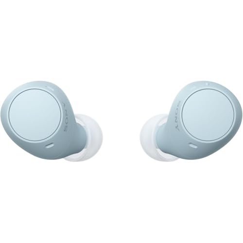 ソニー(SONY) 完全ワイヤレスイヤホン WF-C510 / 軽量小型4.6g / 高精度通話品質/外音取り込み対応/マルチポイント対応 / IPX4防滴性能 / ブルー/WF-C510 LC