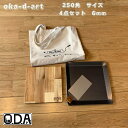 oka-d-art 黒皮鉄板 鉄板 ソロキャンプ鉄板 アウトドア鉄板 ソロ鉄板 BBQ鉄板 グリル ミドルサイズ 極厚6mm×250mm×250mm用 トートバック収納袋付き4点セット 穴なし 送料無料 Iron Griddle Skillet Griddle Pan Bonfire BBQ Pan