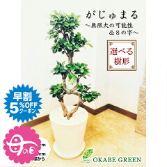 https://thumbnail.image.rakuten.co.jp/@0_mall/okabegreen/cabinet/-ibento_bana-/motherday/gm-28_h5.jpg