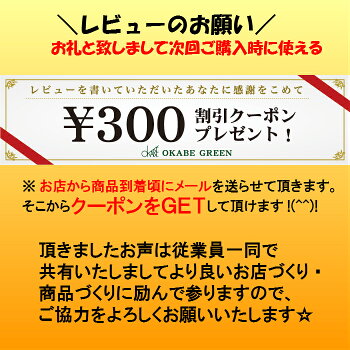 プランツデザイナーNAOKO花の寄せ植えお中元ギフトカリブラコアスカビオサなどお花の種類はお任せ白陶器おしゃれお花鉢植えギフトお祝い誕生日プレゼント開店祝開業祝ガーデニング素敵かわいい人気