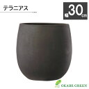 【店内全品ポイント2倍】 母の日 鉢植え ギフト プレゼント 観葉植物 鉢 大型 おしゃれ テラニアス バルーン 10号 アンティークブラウン エッグ型 鉢植え...