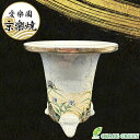 【店内全品ポイント2倍】 観葉植物 鉢 おしゃれ 京楽焼 鉢 窯元 愛楽園 陶器鉢 鈴虫 すずむし 【1品1品手描きの為若干絵柄が変わります】 京楽焼き 楽焼 ...