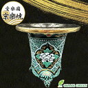 観葉植物 鉢 おしゃれ 京楽焼 鉢 窯元 愛楽園 陶器鉢 花 花柄 緑 1品1品手描きの為若干絵柄が変わります 京楽鉢 楽鉢 オモト 万年青 富貴蘭 春蘭 フウ...