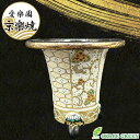 【店内全品ポイント2倍】 観葉植物 鉢 おしゃれ 京楽焼 鉢 窯元 愛楽園 陶器鉢 紋様 紋様柄 白 金 1品1品手描きの為若干絵柄が変わります 京楽鉢 楽鉢 ...