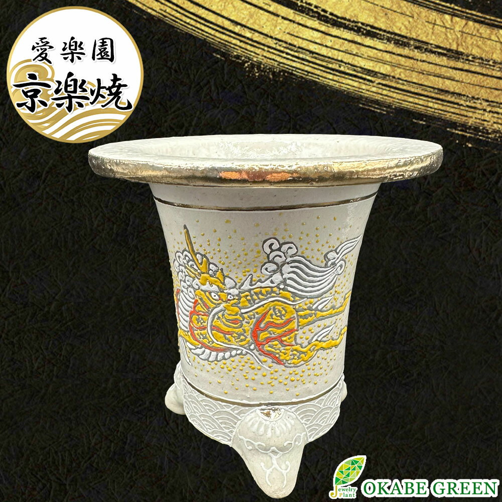 40639 - 観葉植物 鉢 おしゃれ 京楽焼 鉢 窯元 愛楽園 陶器鉢 白 金 竜 龍 1品1品手描きの為若干絵柄が変わります 京楽鉢 楽鉢 オモト 万年青 富貴蘭 春蘭 フウキラン フウラン シュンラン 富貴蘭鉢 インテリア 送料無料 [22]