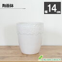観葉植物 鉢 5号 おしゃれ 陶器鉢 白 薔薇模様の陶器 鉢植え 植木鉢 人気 お祝い 誕生日 インテリア 送料無料
