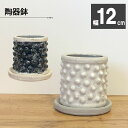 【店内全品2個で10%OFFクーポン配布】 観葉植物 鉢 おしゃれ 陶器鉢 4号 デザイン陶器 ソーサー付 選べるカラー ブラック ブルー ホワイト 黒 白 青...