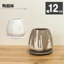 【店内全品ポイント2倍】 母の日 鉢植え ギフト プレゼント 観葉植物 鉢 おしゃれ 陶器鉢 4号 デザイン陶器 ソーサー付 選べるカラー ブラウン ホワイト ...