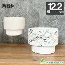 【店内全品2個で10%OFFクーポン配布】 観葉植物 鉢 おしゃれ 陶器鉢 4号 デザイン陶器 ソーサー付 ペイント ホワイト 白 鉢植え 植木鉢 人気 お祝い...