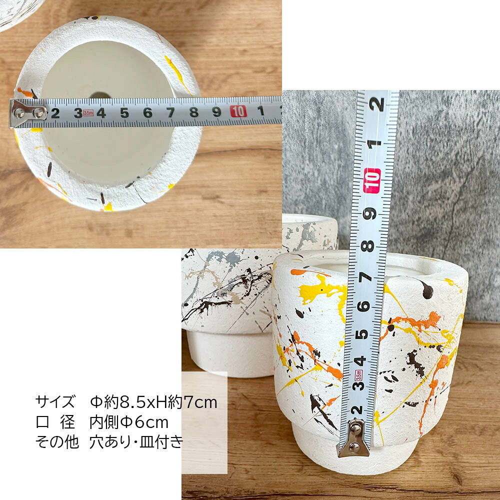 【2個同時購入5％OFFクーポン配布中】 観葉植物 鉢 おしゃれ 陶器鉢 3号 デザイン...