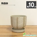 【店内全品2個で10%OFFクーポン配布】 観葉植物 鉢 おしゃれ 陶器鉢 3.5号 デザイン陶器 ソーサー付 ブラウン ホワイト ベージュ 白 茶 鉢植え 植...