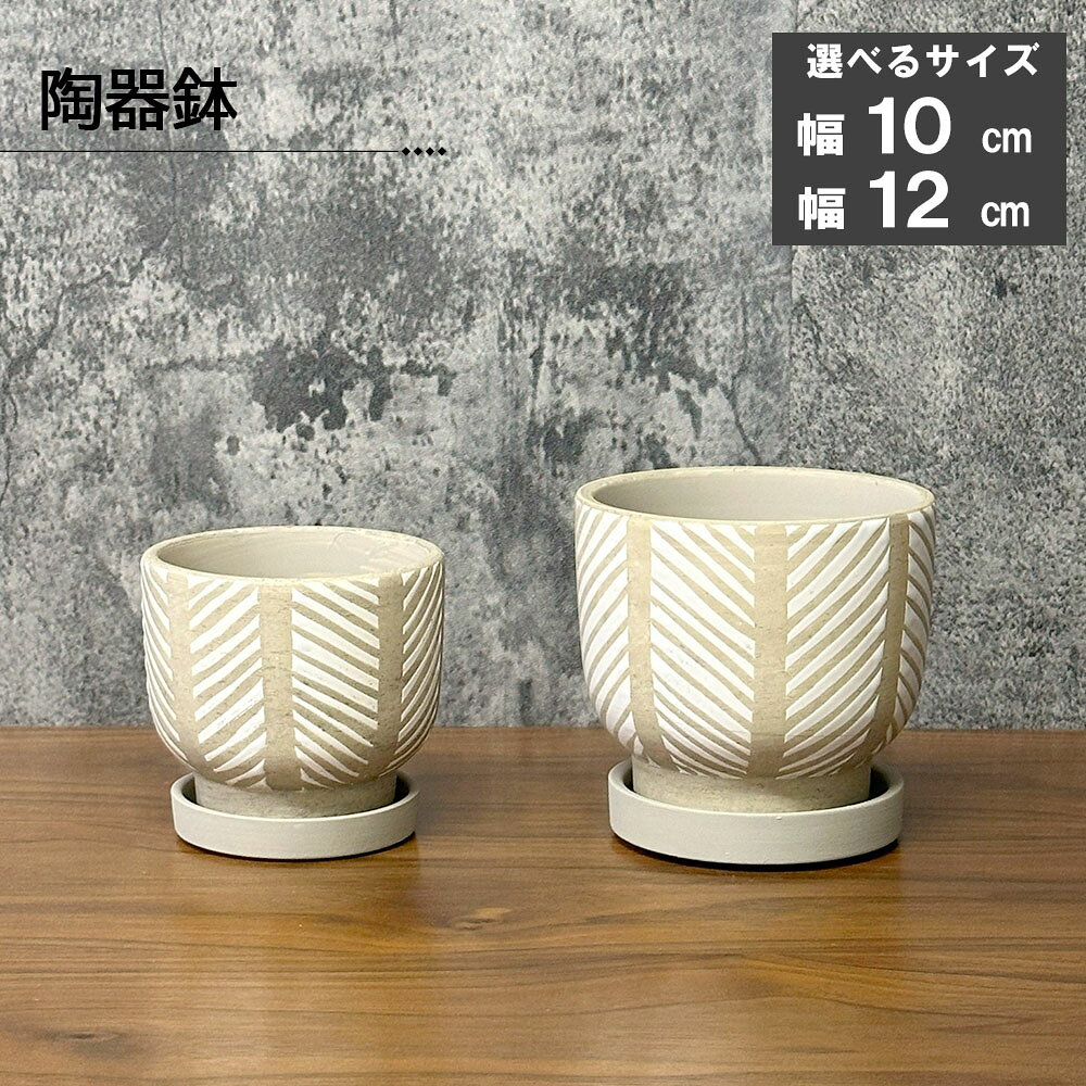 おしゃれなデザイン陶器鉢。 いろいろな種類の観葉植物と合わせやすく、お部屋にも馴染みやすいです。 お部屋の雰囲気を素敵にしてくれます♪ リビングなど各お部屋におすすめです！ 2商品情報 大きさ 選べるサイズ 【小サイズ（3.5号）】 カラー ライトブラウン＆ホワイトライン サイズ Ф10 x H9cm 口径 Ф9cm その他 穴あり・皿付き 【大サイズ（4号）】 カラー ライトブラウン＆ホワイトライン サイズ Ф12 x H11cm 口径 Ф11cm その他 穴あり・皿付き 送料 ●送料無料※沖縄は追加で送料が500円かかります。（合計金額9,800円以上で無料） さまざまなシーンでお使いいただけます 季節の贈り物に お中元 お歳暮 母の日 父の日 子供の日 七五三 敬老の日 いい夫婦の日 ハロウィンク リスマス お年賀 お正月 迎春 バレンタインデー ホワイトデー ひな祭 オレンジデー 花のギフト フラワーギフト 大切な方へのプレゼント 御祝 御礼 御挨拶 粗品 お使い物 贈答品 ギフト 贈りもの 進物 記念日 結婚記念日 お誕生日 発表会 還暦祝 告白 プロポーズ ご婚約 金婚式 銀婚式 喜寿 米寿 白寿 10代 20代 30代 40代 50代 60代 70代 80代 90代 お祝いや内祝いなど祝儀の品に 引き出物 お祝い 内祝い 結婚祝い 結婚内祝い 出産祝い 出産内祝い 婚約 引き菓子 快気祝い 快気内祝い プチギフト 贈り物 ビジネスでのギフト・御礼・マナーギフト 開店祝い 移転祝い お見舞い 歓送迎会 送別祝い 退職祝い 公演 楽屋見舞い お土産 開店 オープン 新築祝い 引越し祝い 入学祝い 卒業祝い 入園祝い 入社祝い 販売 販促 イベント キャンペーン チャリティー ご自宅用・インテリアにも ご自宅用 自分へのご褒美として リビング 寝室 玄関 ベランダ 癒し 潤い 鉢植え アレンジメント インテリアグリーン ガーデニング